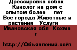 Дрессировка собак (Кинолог на дом с опытом более 10 лет) - Все города Животные и растения » Услуги   . Ивановская обл.,Кохма г.